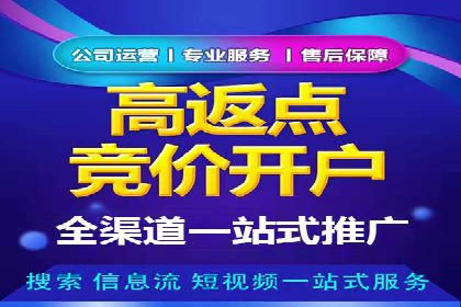 百度推广平台：从零到一的营销策略案例